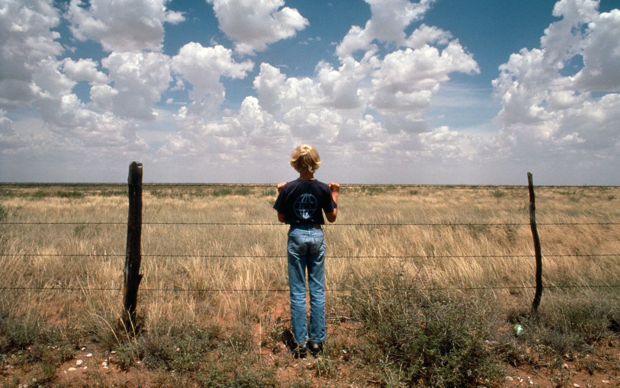 Card essay montana  nyc41848