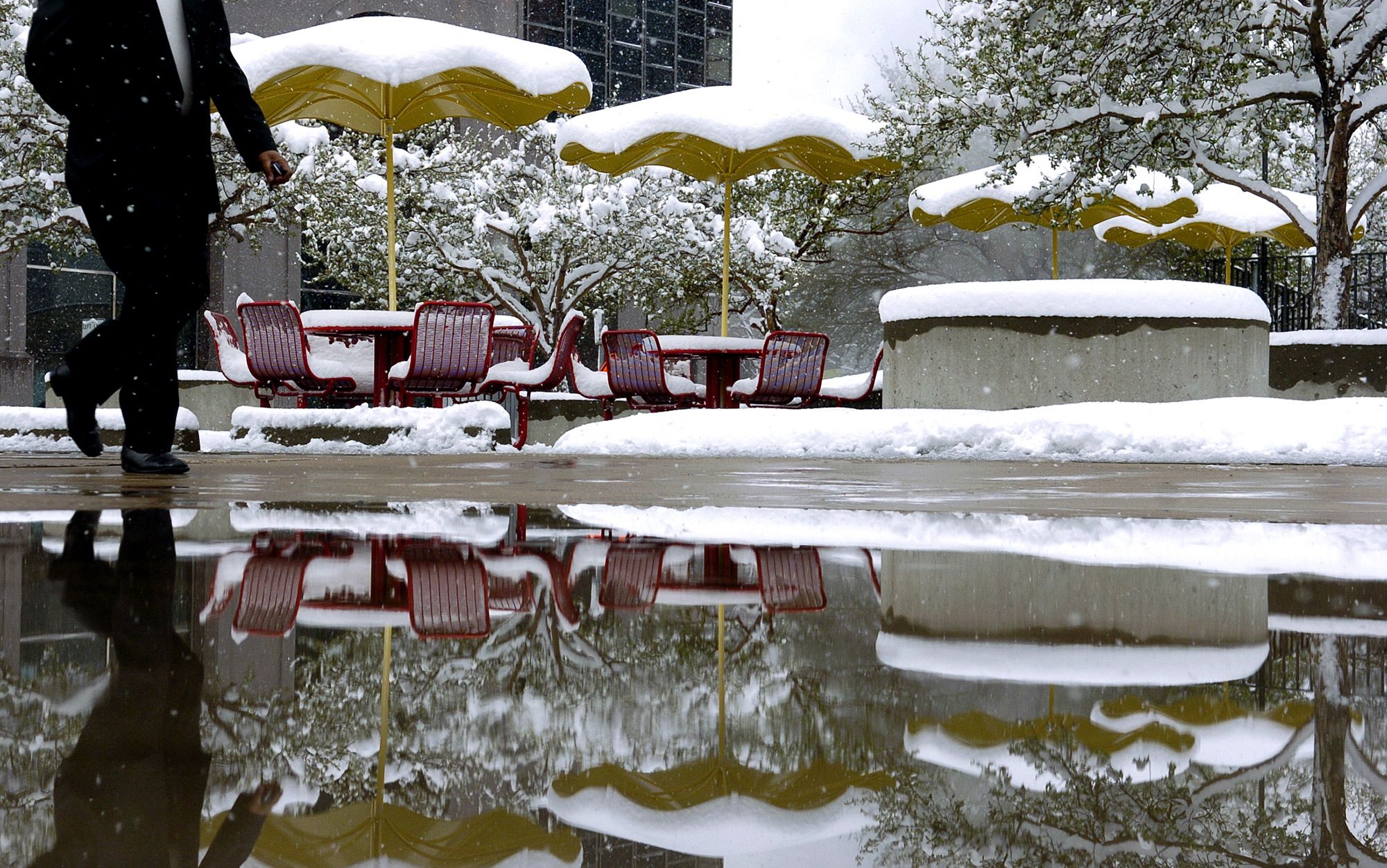 Patterns of the lifeworld | Aeon