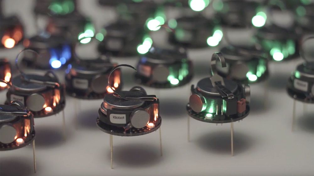 Can a thousand tiny swarming robots outsmart nature? | Aeon