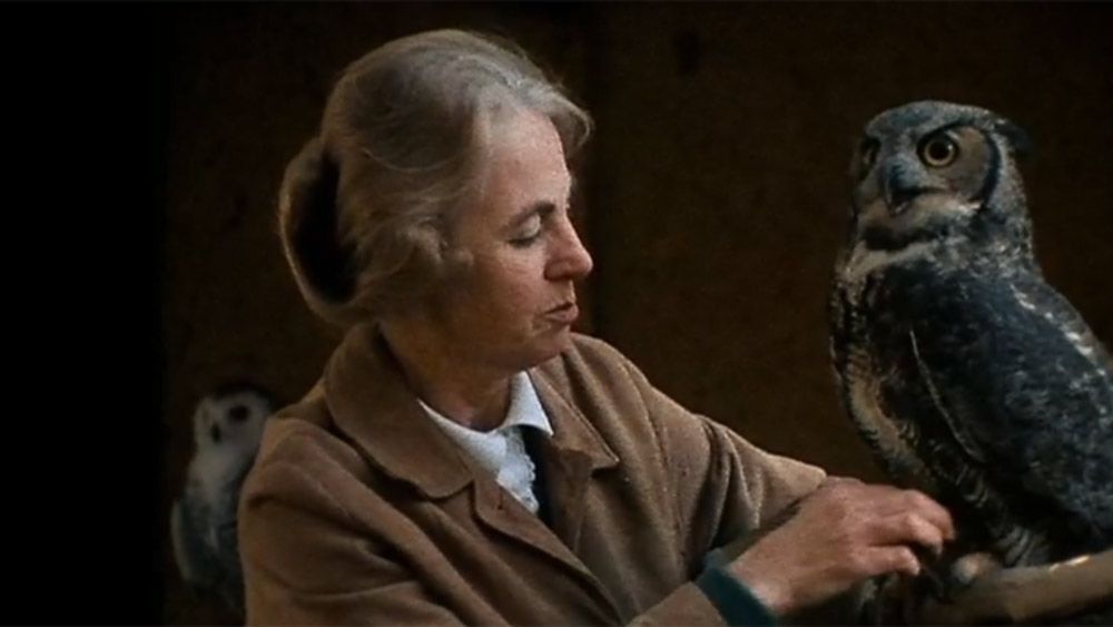The lady and the owl | Aeon