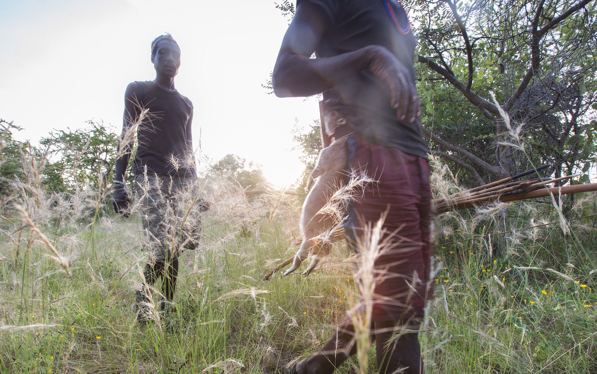 Lessons from the foragers | Aeon Essays