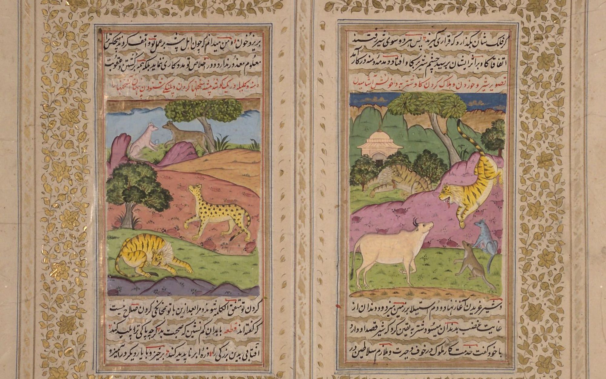 Tales of two jackals | Aeon Essays