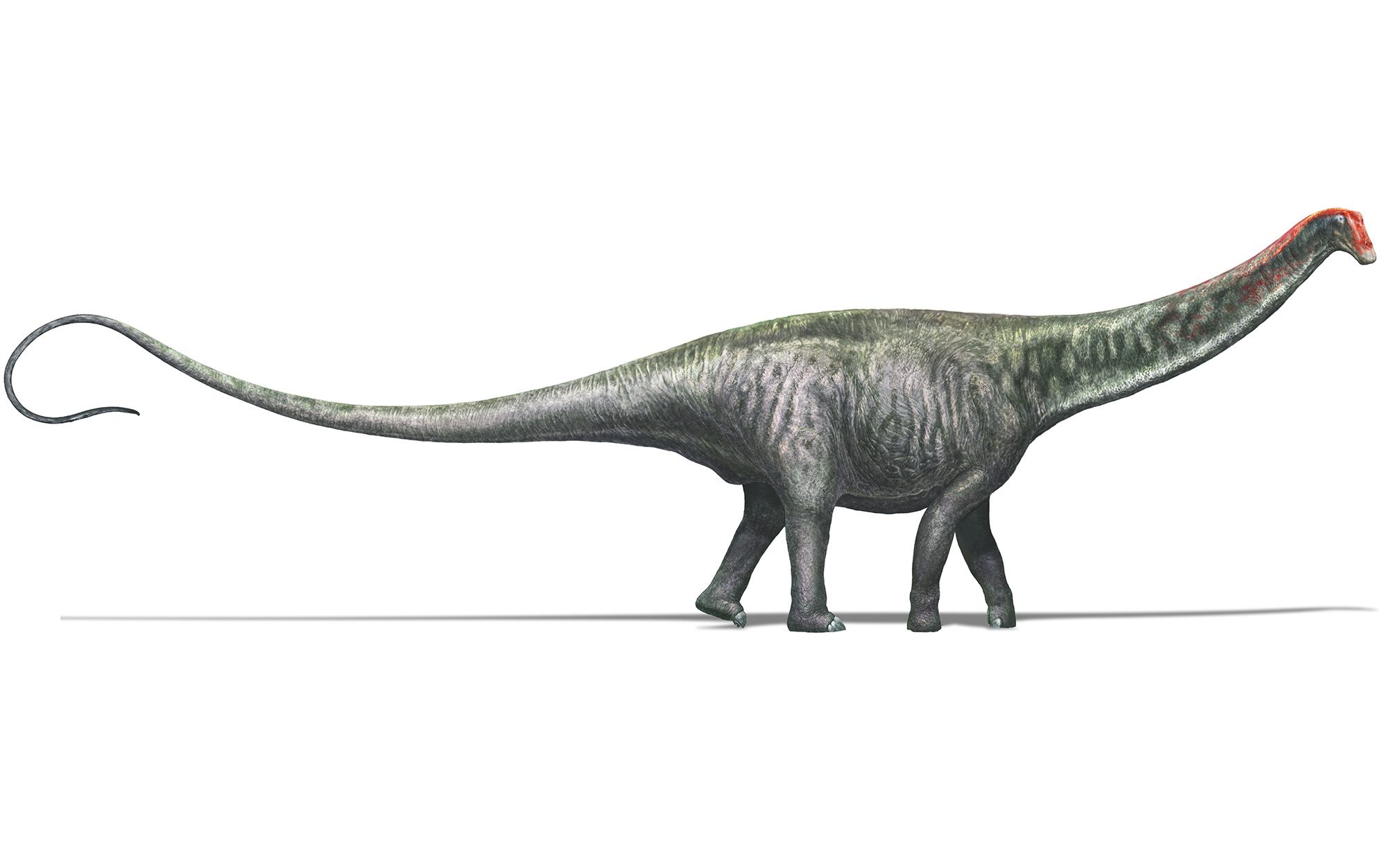 A dinosaur is a story | Aeon