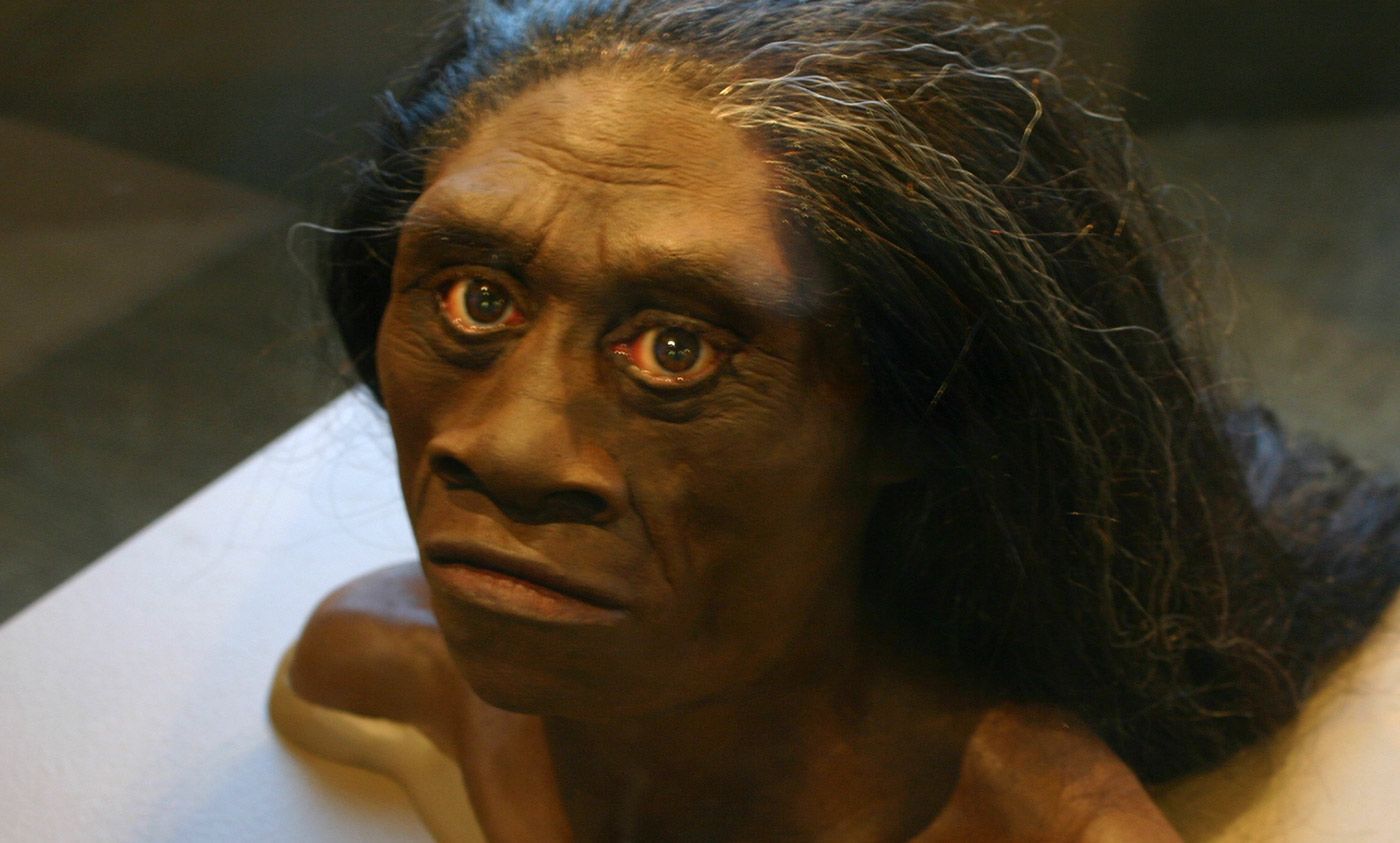 Investigating Homo floresiensis and the myth of the ebu gogo | Aeon Ideas