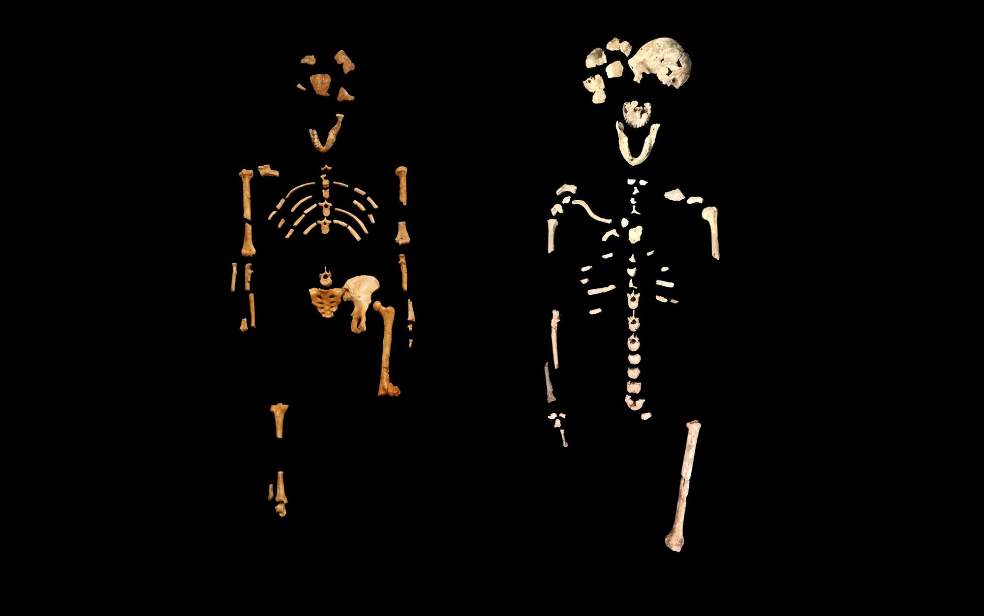 Who first buried the dead? | Aeon