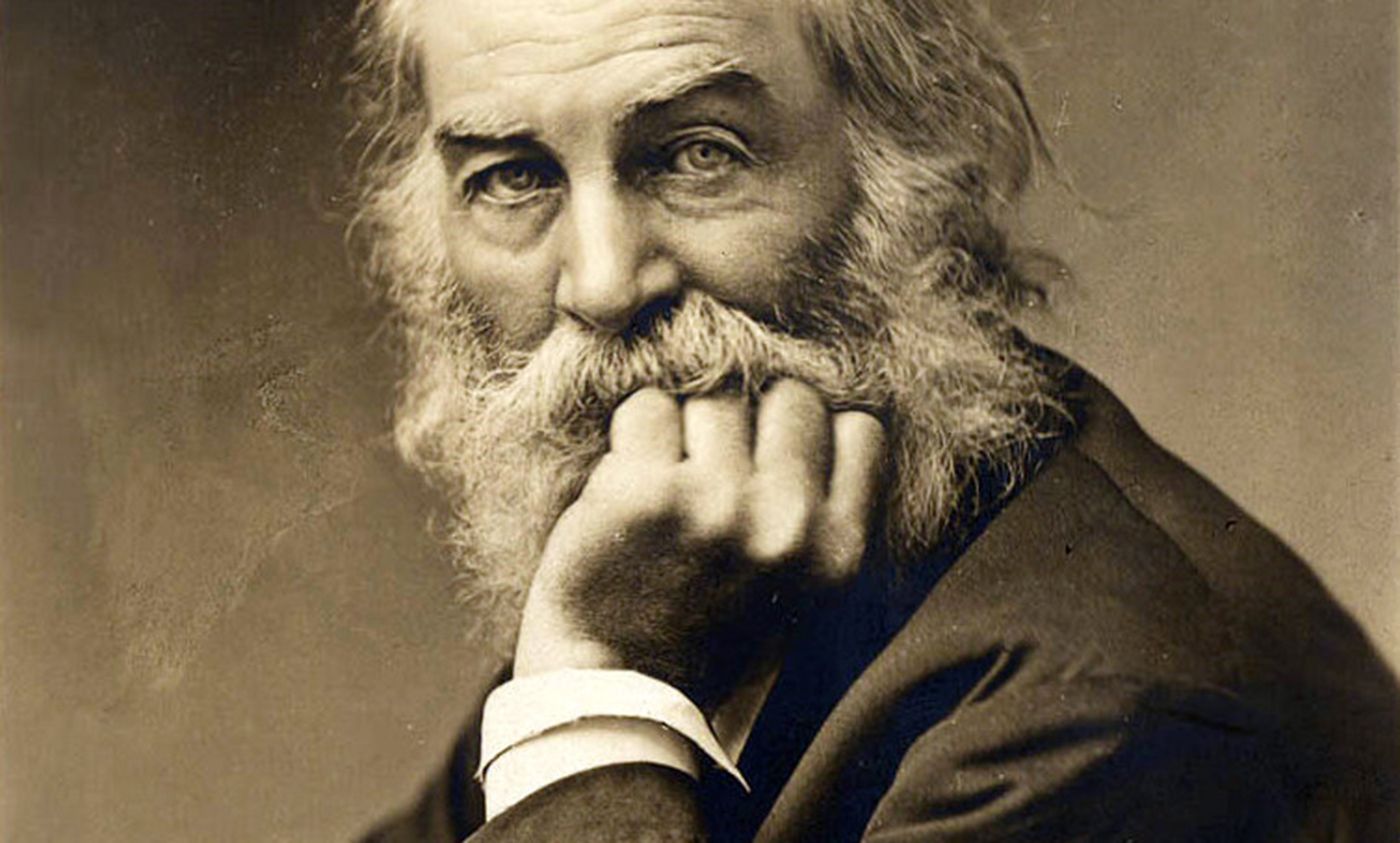 How beards put a brave face on threatened masculinity | Aeon